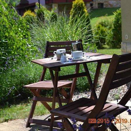 Apartament Parkowa Polana Z Ogrodem Appartamento Polanica-Zdrój Esterno foto