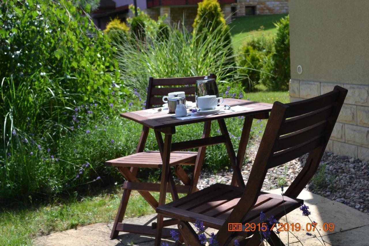 Apartament Parkowa Polana Z Ogrodem Appartamento Polanica-Zdrój Esterno foto